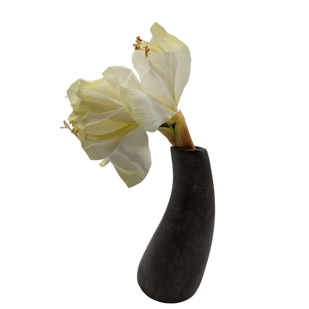 Rare Pier 1 Imports Ceramic Curved Potted Amaryllis Flower Home Decor 13 in - Picture 6 of 11